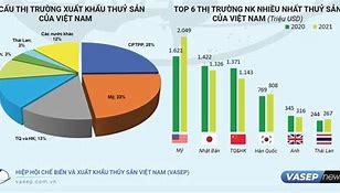 Bộ Xuất Khẩu Ngoài Nước Việt Nam 2021 Tại Mỹ Pdf Download Free