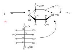 Hidro Hóa Hoàn Toàn Glucozơ Tạo Ra Cái Gì