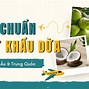 Xuất Khẩu Dừa Sang Trung Quốc